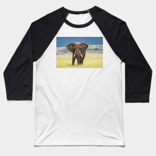 Elephant, Ngorongoro Crater, Tanzania Baseball T-Shirt